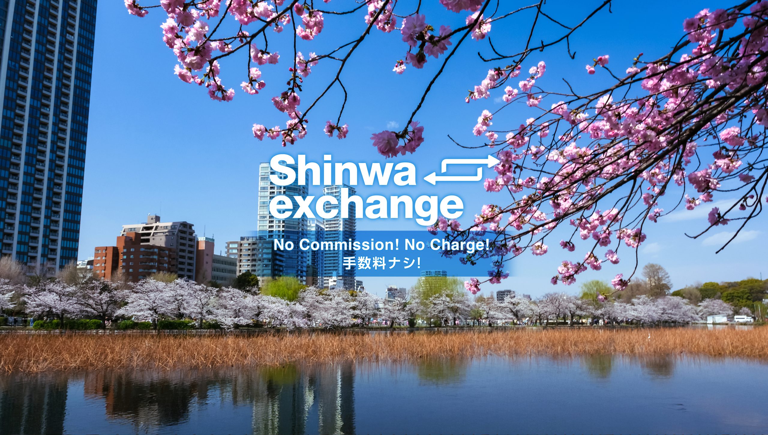 Shinwa Exchange Devisenwechselservice | Wir bieten die besten Preise in  Tokio, Ueno und Ameyoko.